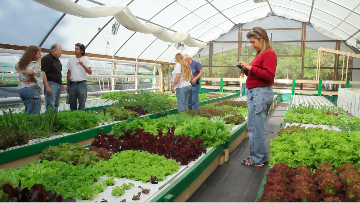 We’ve been thinking a lot about aquaponics and where it fits in with 